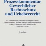 Prozesskommentar Gewerblicher Rechtsschutz und Urheberrecht DH国際書房DH国際書房